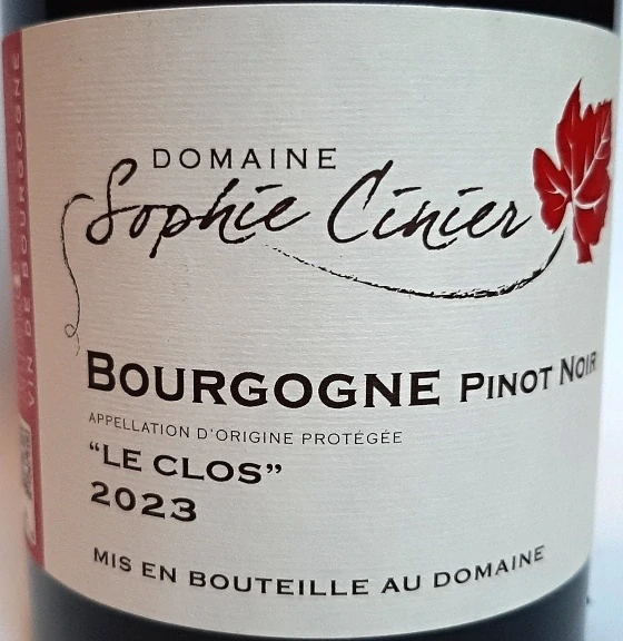 Bourgogne Pinot Noir 2023 Le Clos - Domaine Sophie Cinier