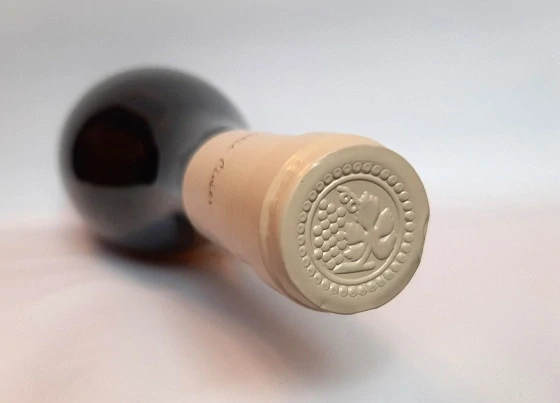 Bourgogne Pinot Noir 2023 Le Clos - Domaine Sophie Cinier