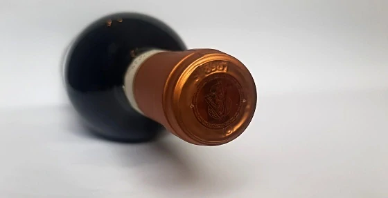 Chianti Classico Gran Selezione 2021 DOCG - Tenuta San Vincenti
