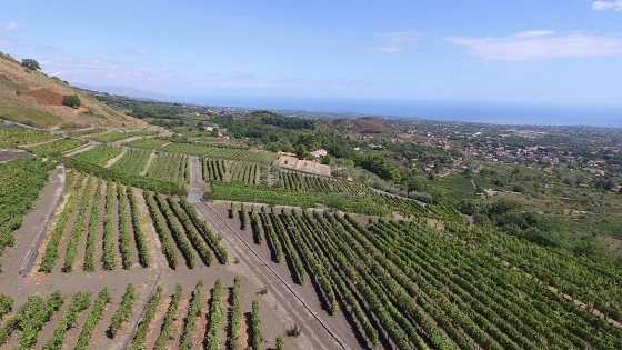 Passuluna Bianco 2023 IGT Terre Siciliane - Tenute Nicosia