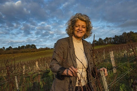 Petit Chablis 2022 - Clotilda Davenne