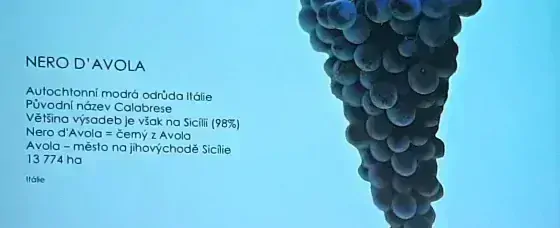 Nero d´Avola DOC Sicilia 2019 - Cantine Privitera