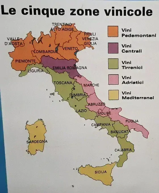 Syrah IGT Terra Siciliane 2019 - Cantine Privitera