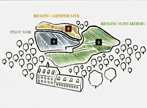 Riesling Amphitheater zemské víno 2021 - Vinařství Zilvar
