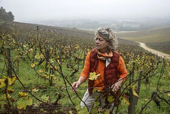 Chablis 1er Cru Vau de Vey 2022 - Clotilda Davenne